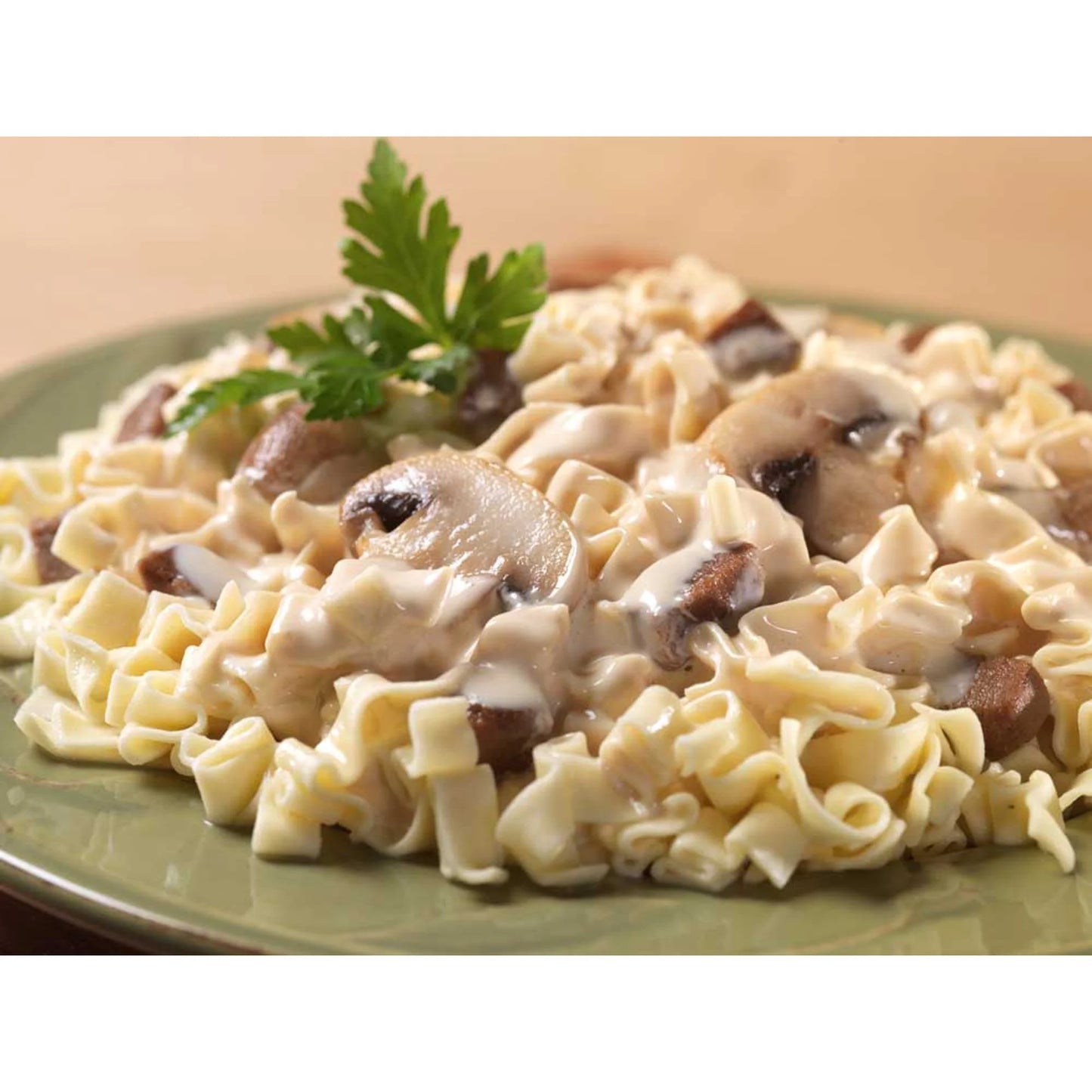 Beef Stroganoff with Noodles | Freeze Dried Survival & Emergency Food for Camping Hiking and Backpacking | #10 Can