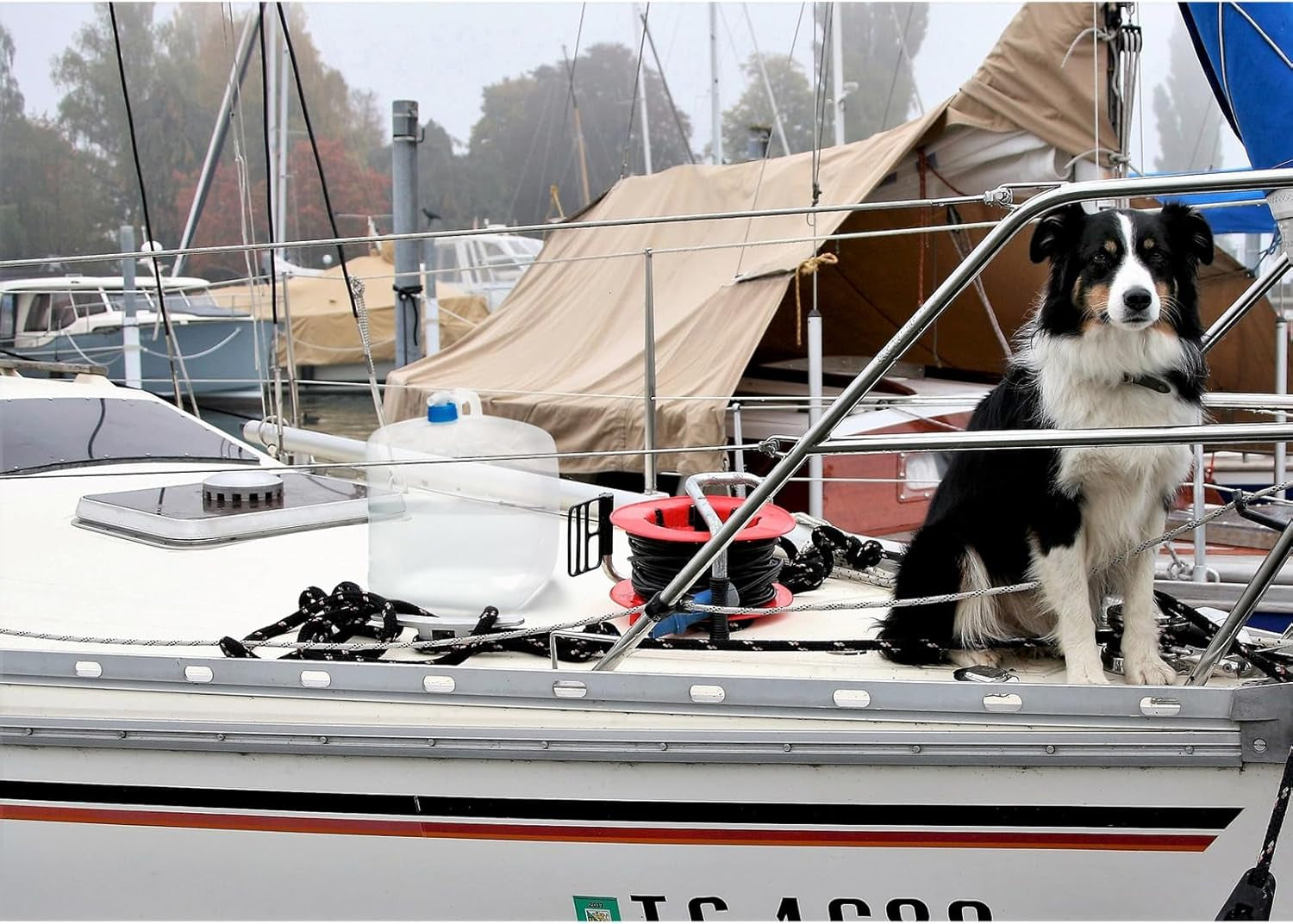 Collapsible Water Container Jug, 5.3 Gallon BPA Free Water Storage Carrier with Spigot, for Camping Backpacking Hiking Outdoors & Emergency, Food-Grade Foldable Portable Survival Gear