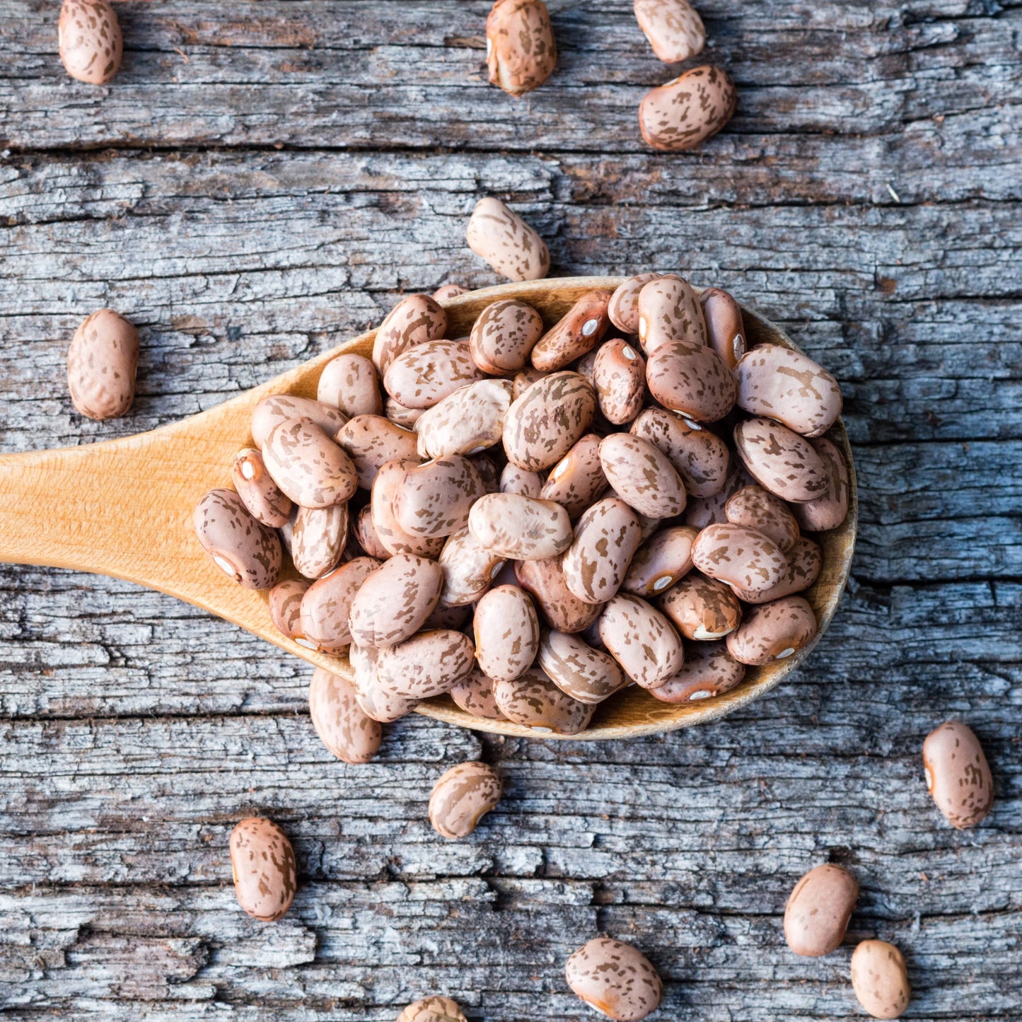 Pinto Beans, Emergency Food, 24 Lb Tub