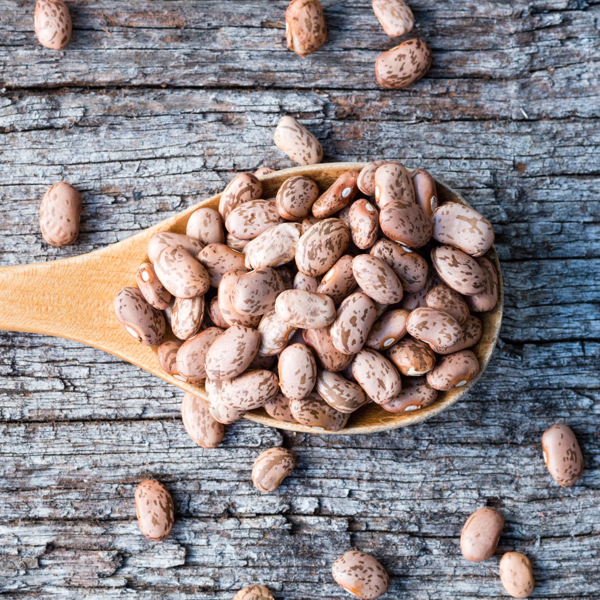 Pinto Beans, Emergency Food, 24 Lb Tub