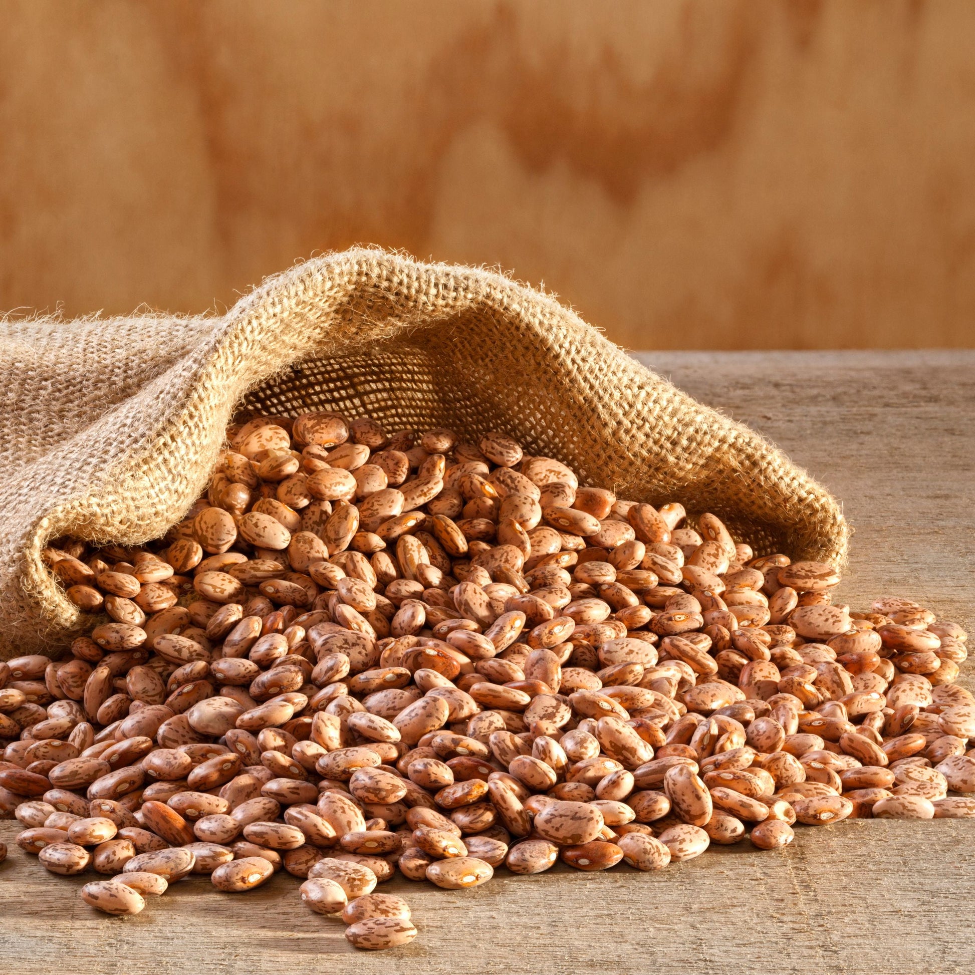 Pinto Beans, Emergency Food, 24 Lb Tub