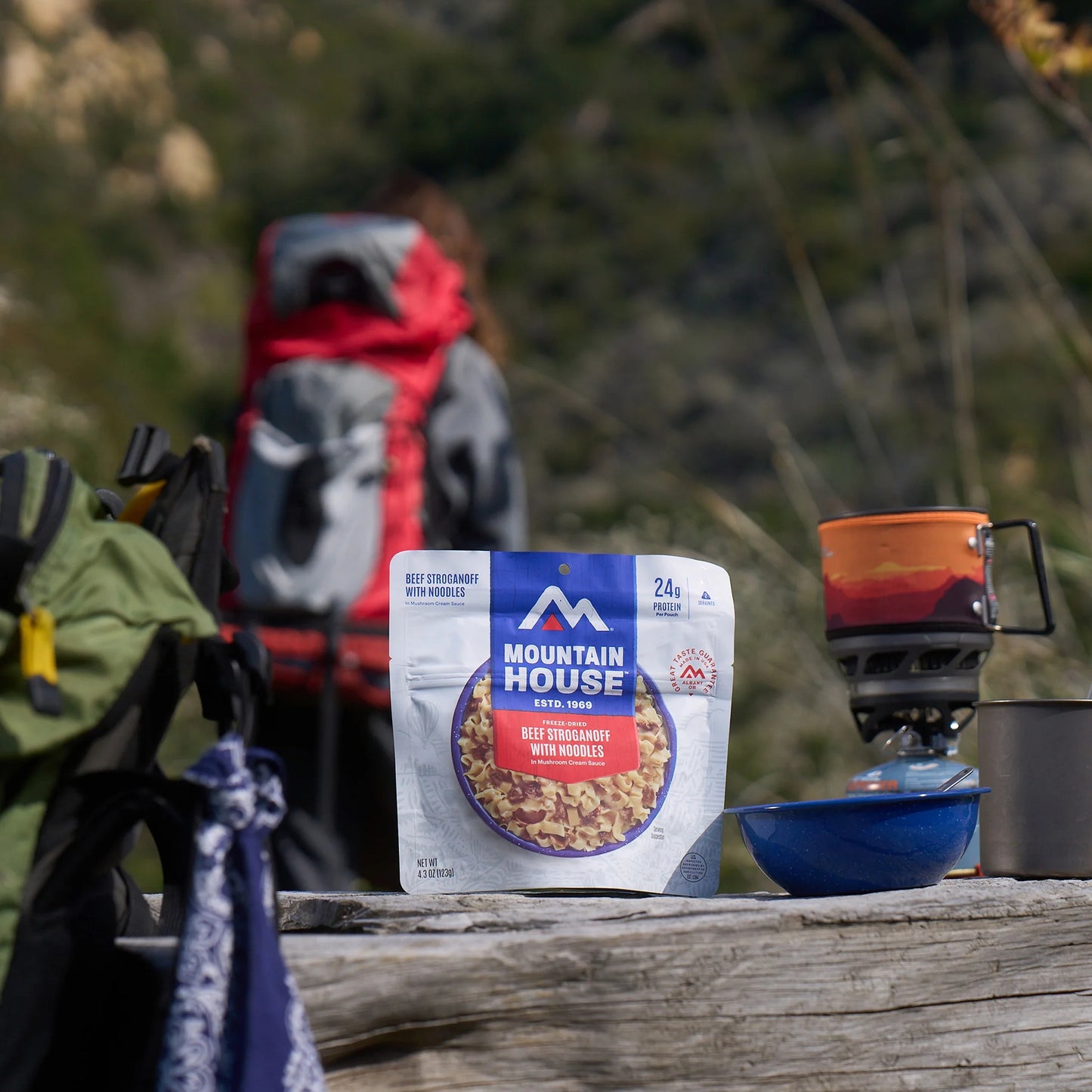 Beef Stroganoff with Noodles, Freeze-Dried Backpacking & Camping Food, 2 Servings