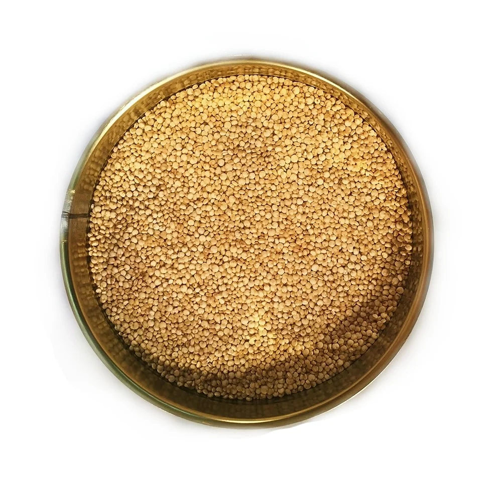 (12 Cans Pack)  Freeze Dried Emergency Survival Food for Camping Hiking and Backpacking with 25 Years Long Shelf Life Canned Quinoa 22Oz Can✅