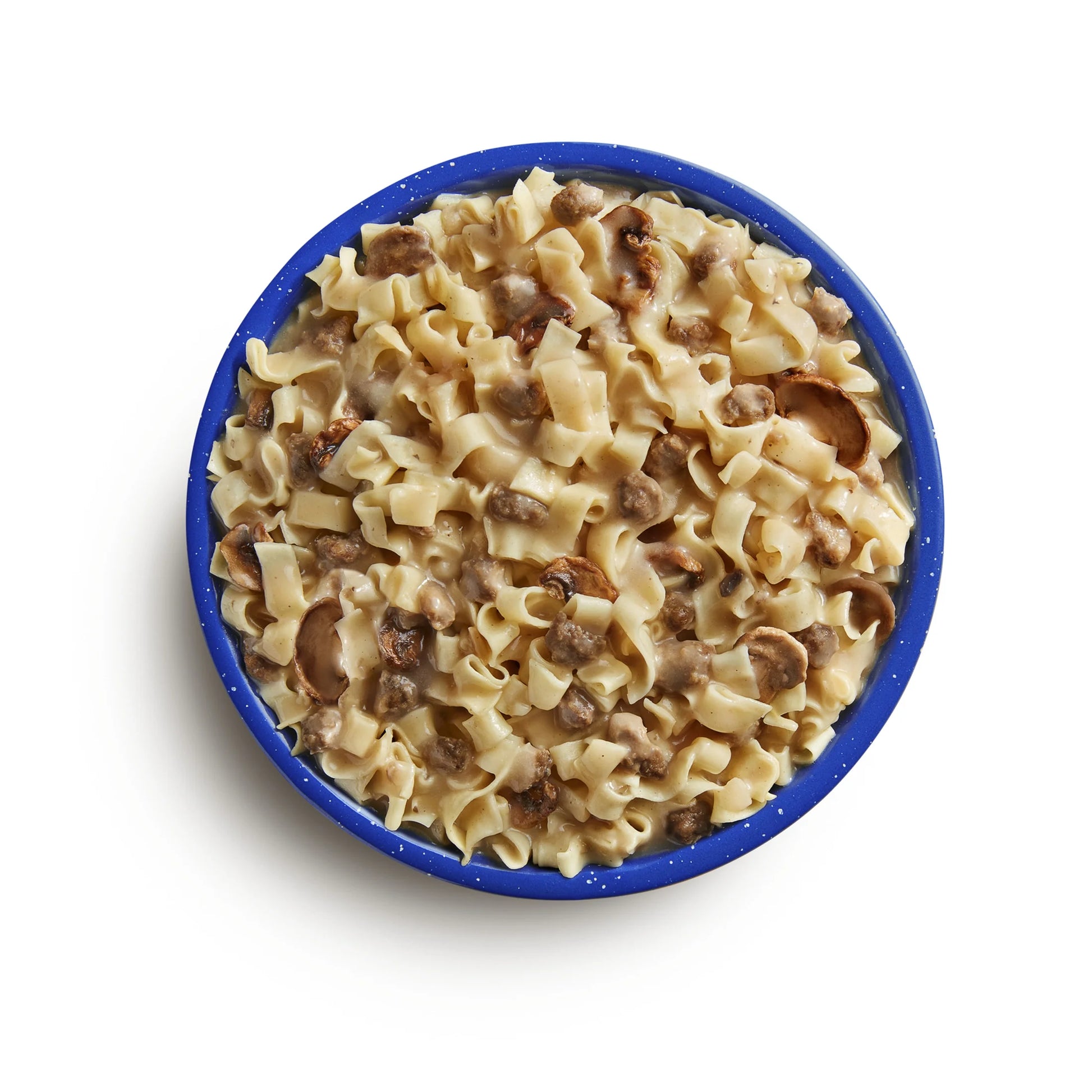 Beef Stroganoff with Noodles, Freeze-Dried Backpacking & Camping Food, 2 Servings
