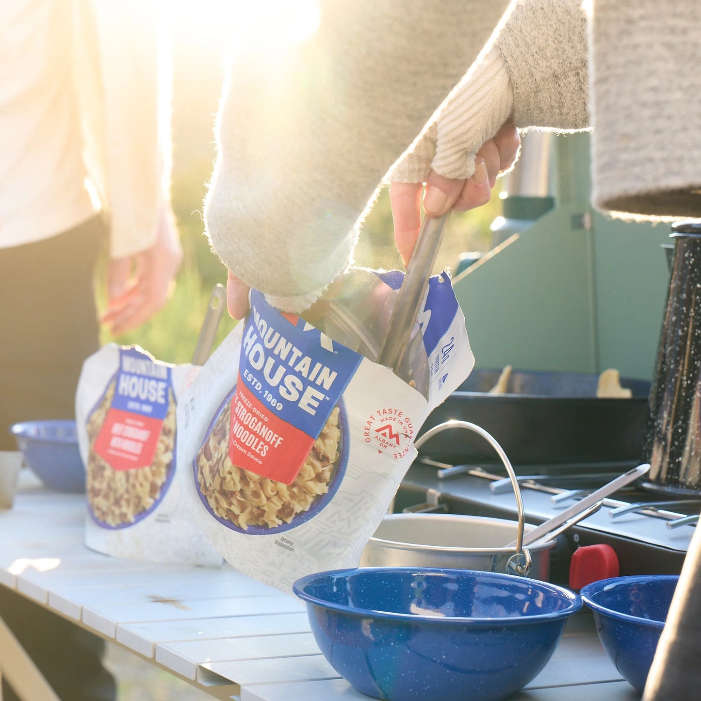 Beef Stroganoff with Noodles, Freeze-Dried Backpacking & Camping Food, 2 Servings
