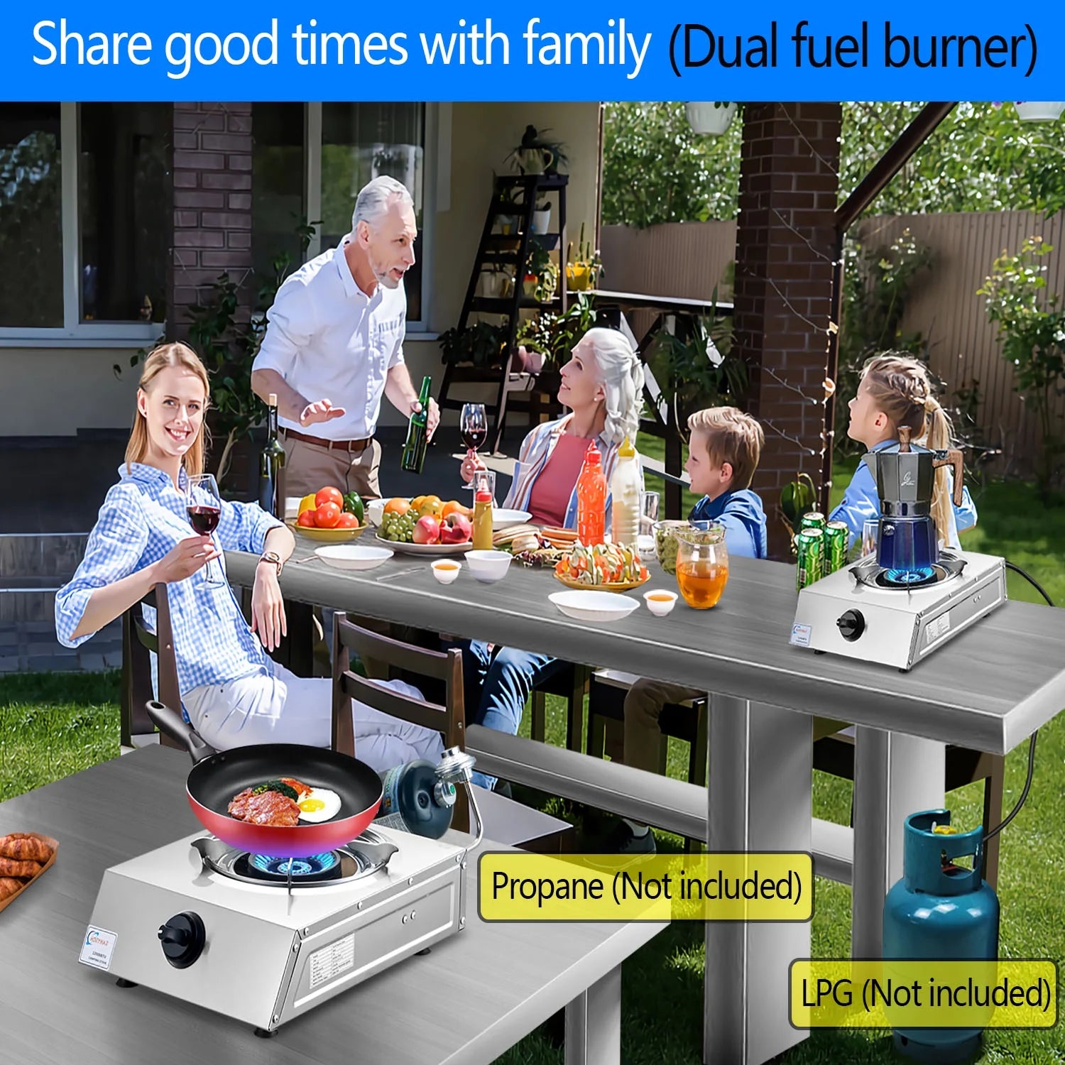 Propane Stove 12000 BTU Dual Fuel Stove Auto Ignition Propane Burner